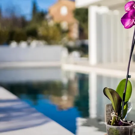 Milly Villa Vrh (Krk)