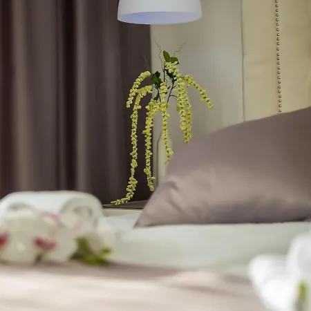 别墅 Milly Vrh (Krk)