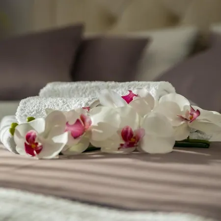 Milly 别墅 Vrh (Krk)